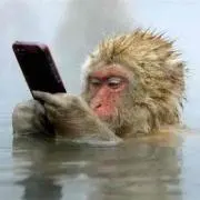 ももっちの画像