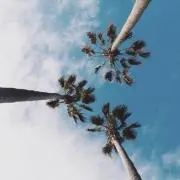 coconanaの画像