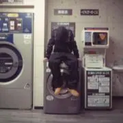 sの画像