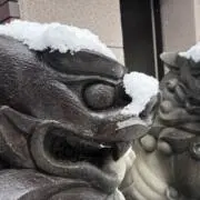 ゆで卵の画像