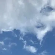 chipiの画像