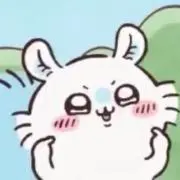 パッチの画像