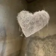 yの画像