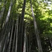 H.A.B.8の画像