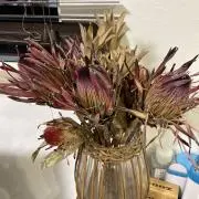 Meu Jardim