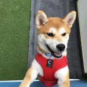 紋次郎
