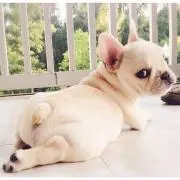 さわの画像