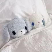 .の画像