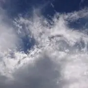 りんりんの画像