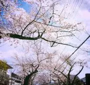 Hiromiの画像