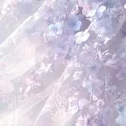 くすの画像