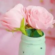 みく