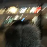 ぴゃんの画像