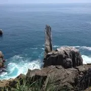 855の画像
