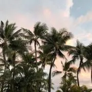 若旦那☆の画像