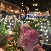 にゃんこせんせいの画像
