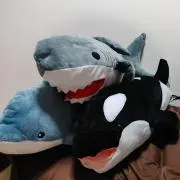 まっすーの画像