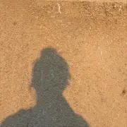 bamの画像