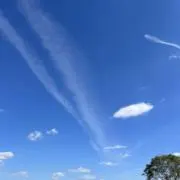 ここあの画像