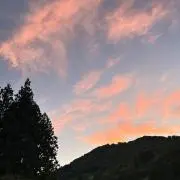 ゆうくんの画像