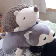 んみっちの画像