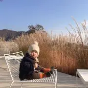 sunの画像