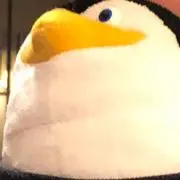 しゅか