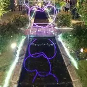 こめこの画像