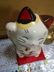ボレロぱれーど　❀ プロフ必読❀の画像