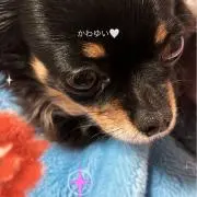 おと♫買う気のない、いいねしないで下さい