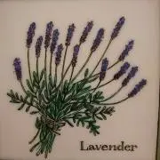 ラベンダーの画像