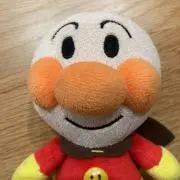 こーちゃんの画像