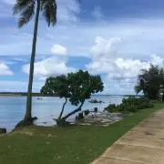 pui puiの画像