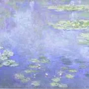 はるの画像