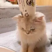 みるの画像