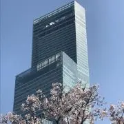 h＆y