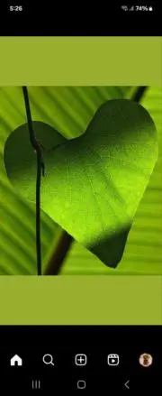 Loveの画像