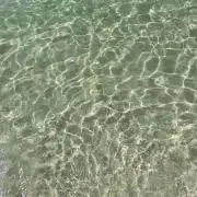 mの画像