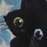 ぽん