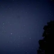 りんご。
