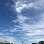 たけるん