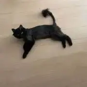 澪 ※休憩中