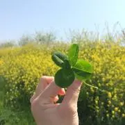 mの画像