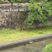 ななこの画像