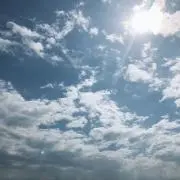 a / 即購入◎の画像