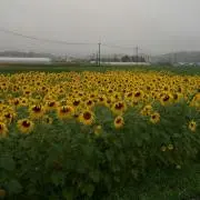 ★うさぎ★