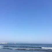 かんぐー★の画像