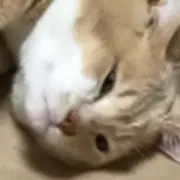 ちよ