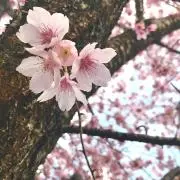 (゜∀゜)の画像