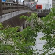 ワトソン